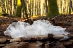 10 Scheiss Schlamm